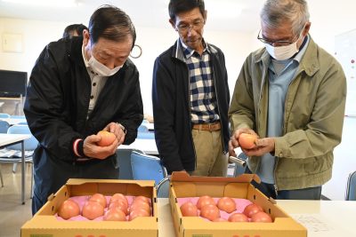 冬作トマト目ぞろい会